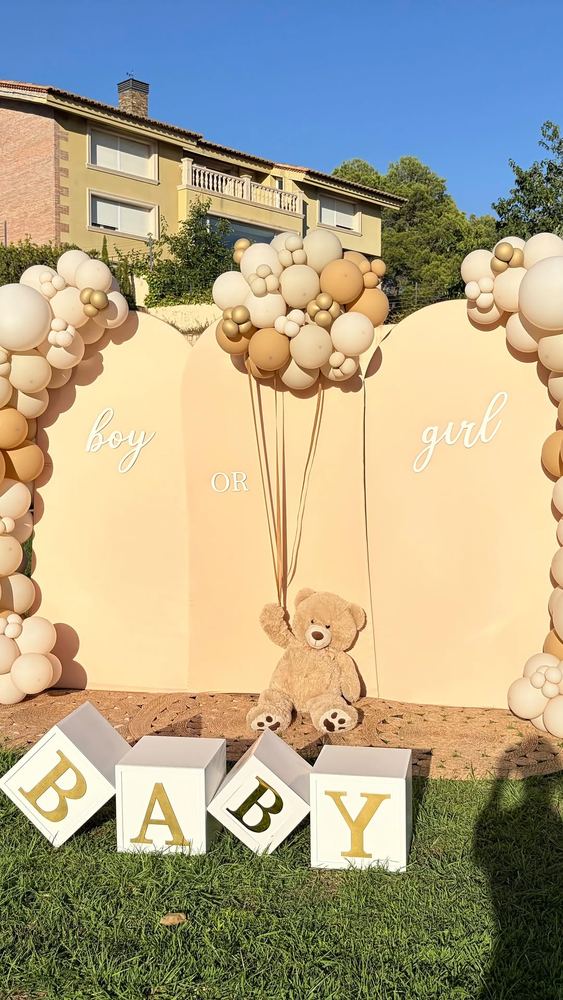 Gender reveal · boy or girl